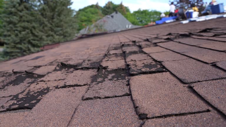 Best Emergency Roof Repair Services  in Dunbar, WV